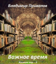 Книга Важное время (СИ) автора Владимир Привалов