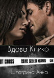 Книга Вдова Клико (СИ) автора Анна Штогрина