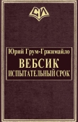 Книга Вебсик. Испытательный срок (СИ) автора Юрий Грум-Гржимайло