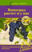 Книга Виноград растет и у нас автора Юрий Загвоздин