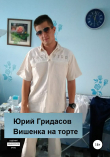 Книга Вишенка на торте автора Юрий Гридасов