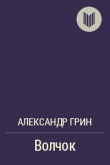 Книга Волчок автора Александр Грин