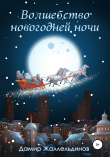Книга Волшебство новогодней ночи автора Дамир Жаллельдинов