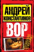Книга Вор (Журналист-2) автора Андрей Константинов