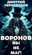 Книга Воронов - вы не маг! (СИ) автора Дмитрий Черноводов