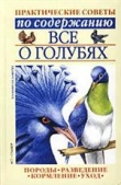 Книга Все о голубях автора Светлана Бондаренко