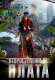 Книга Второстепенный: Плата (СИ) автора Ирина Нельсон