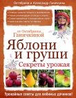 Книга Яблони и груши: секреты урожая от Октябрины Ганичкиной автора Октябрина Ганичкина