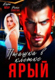 Обложка: Ярый. Пташка в клетке (СИ)