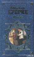 Книга Юнкера автора Александр Куприн