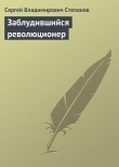 Книга Заблудившийся революционер автора Сергей Степанов