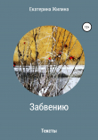 Книга Забвению. Тексты автора Екатерина Жилина