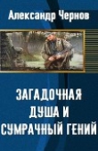 Книга Загадочная душа и сумрачный гений (СИ) автора Александр Чернов
