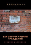 Книга Законопослушный гражданин (СИ) автора Владлен Щербаков