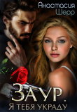 Книга Заур. Я тебя украду автора Анастасия Шерр