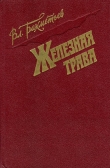 Книга Железная трава автора Владимир Бахметьев