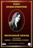 Книга Железный поход. Том 1. Кавказ – проповедь в камне автора Андрей Воронов-Оренбургский