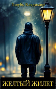 Книга Желтый жилет автора Владимир Голубь