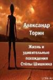 Книга Жизнь и удивительные похождения Степы Шишкина автора Александр Торин
