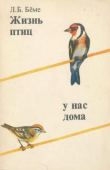 Книга Жизнь птиц у нас дома (3-е изд., 1987 г.) автора Лев Бёме