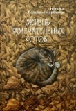 Книга Жизнь замечательных котов… (СИ) автора Наталья Володина-Саркавази