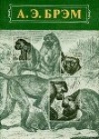 Книга Жизнь животных Том I Млекопитающие автора Альфред Эдмунд Брем