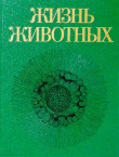 Книга Жизнь животных. Том первый. Простейшие, кишечнополостные, черви автора Владимир Соколов