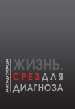 Книга Жизнь. Срез для диагноза автора Александр Смородин