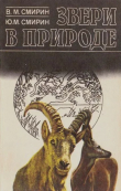 Книга Звери в природе автора Владимир Смирин