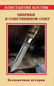 Книга Зябрики в собственном соку, или Бесконечная история автора Константин Костин