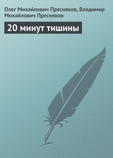 скачать книгу 20 минут тишины автора Владимир Пресняков