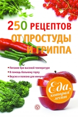 скачать книгу 250 рецептов от простуды и гриппа автора Виктор Ильин