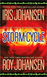 скачать книгу 26 - Storm Cycle  автора Iris Johansen