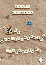 скачать книгу 30 фантастических головоломок автора Антон Малютин