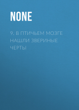 скачать книгу 9. В птичьем мозге нашли звериные черты автора Коллектив авторов (Наука и Жизнь)