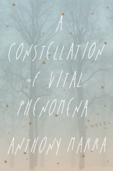 скачать книгу A Constellation of Vital Phenomena автора Anthony Marra