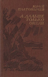 скачать книгу А дальше только океан автора Юрий Платонычев