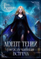 скачать книгу Адепт теней. (Не)случайная встреча (СИ) автора Римма Кульгильдина