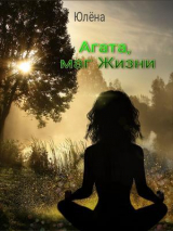 скачать книгу Агата, маг Жизни (СИ) автора Юлёна