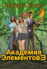 скачать книгу Академия Элементов 3 (СИ) автора Летиция Клевер