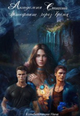 скачать книгу Академия стихий. Артефакт через время. Книга 1 (СИ) автора Нина Колыбельникова