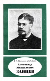 скачать книгу Александр Михайлович Зайцев (1841-1910) автора Г. Быков