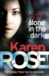 скачать книгу Alone in the Dark автора Karen Rose