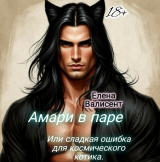 скачать книгу Амари в паре или сладкая ошибка для космического котика (СИ) автора Елена Валисент