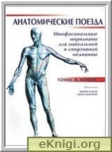 скачать книгу Анатомические поезда-миофасциальные меридианы для мануальных терапевтов автора Томас Майерс