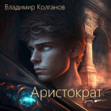 скачать книгу Аристократ (СИ) автора VladimirK