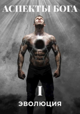 скачать книгу Аспекты Бога. "ЭВОЛЮЦИЯ" (СИ) автора Сергей Белый