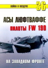 скачать книгу Асы люфтваффе пилоты Fw 190 на Западном фронте автора С. Иванов
