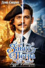 скачать книгу Аудит империи (СИ) автора Денис Старый
