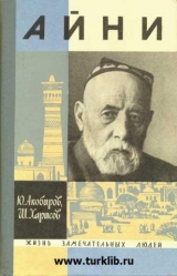 скачать книгу Айни автора Юсуф Акобиров